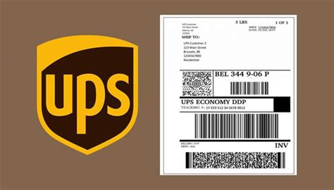 Can I Print My Label at UPS: A Symphony of Chaos and Order