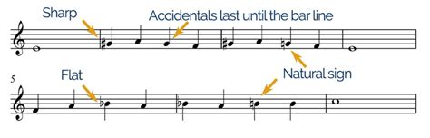 What are accidentals in music, and how do they dance on the staves of time?